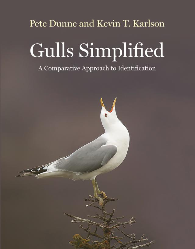 Gulls Simplified by Kevin T. Karlson, Pete Dunne