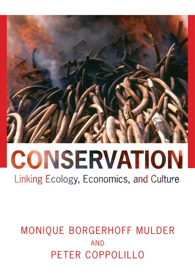 Conservation by Monique Borgerhoff Mulder, Peter Coppolillo