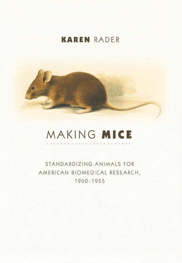 Making Mice by Karen Rader