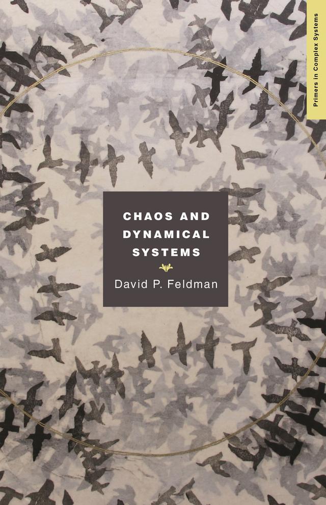Chaos and Dynamical Systems by David P. Feldman