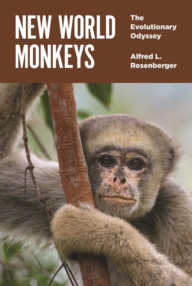 New World Monkeys by Alfred L. Rosenberger