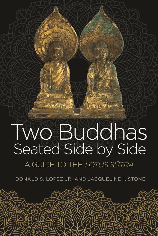 Two Buddhas Seated Side by Side by Donald S. Lopez, Jr., Jacqueline I. Stone