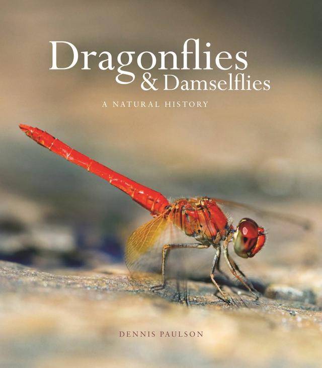 Dragonflies and Damselflies by Dennis Paulson