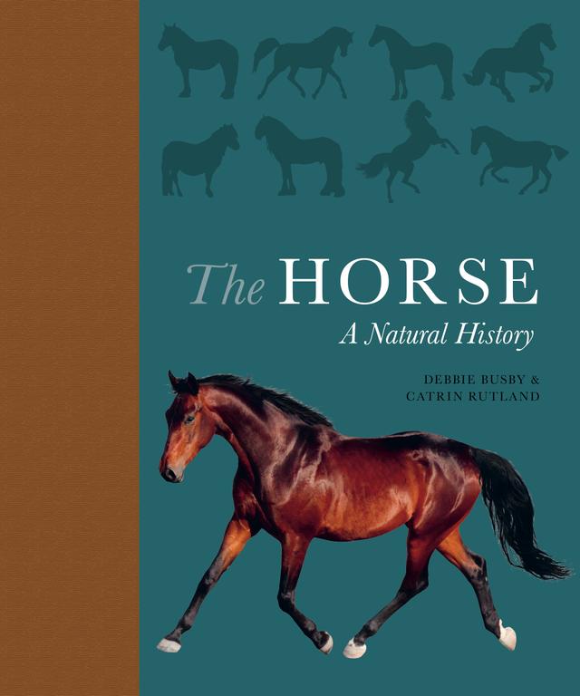 The Horse by Catrin Rutland, Debbie Busby