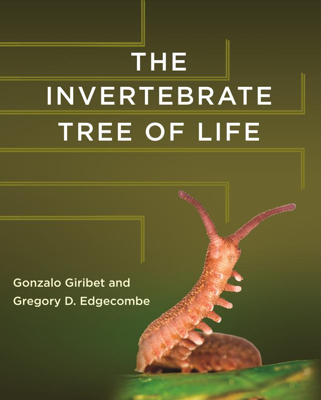 The Invertebrate Tree of Life by Gonzalo Giribet, Gregory D. Edgecombe