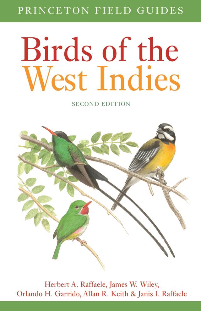 Birds of the West Indies Second Edition by Allan Keith, Herbert A. Raffaele, James Wiley, Janis I. Raffaele, Orlando H. Garrido