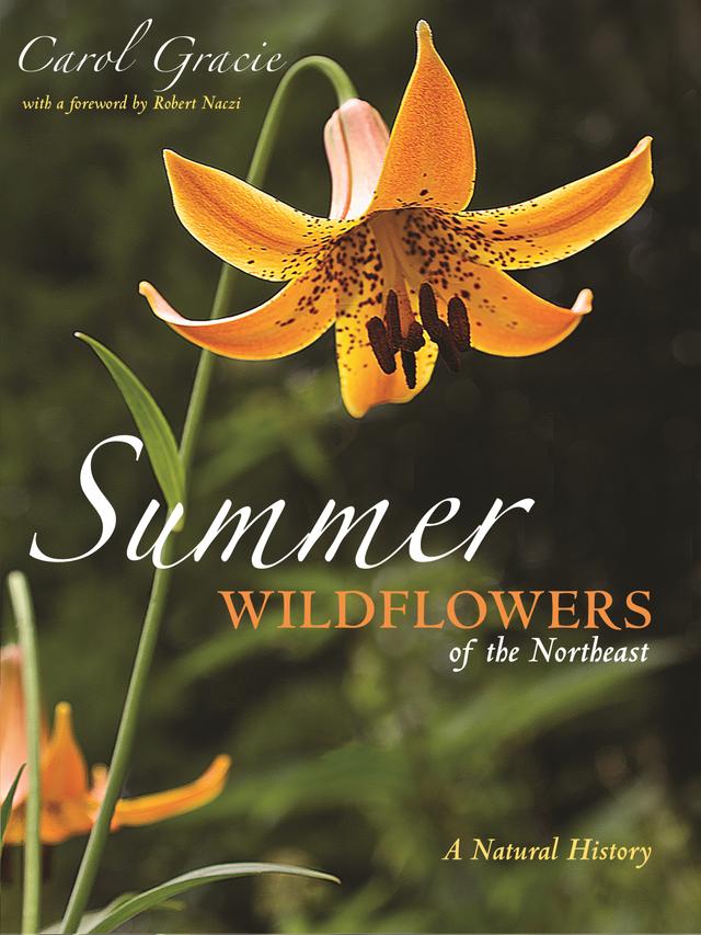 Summer Wildflowers of the Northeast by Carol Gracie
