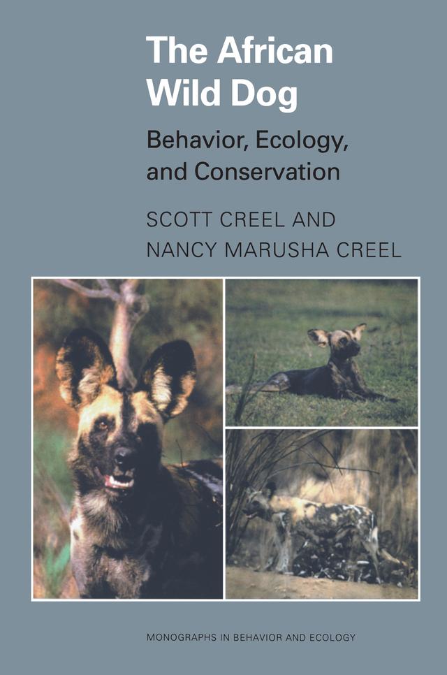 The African Wild Dog by Nancy Marusha Creel, Scott Creel