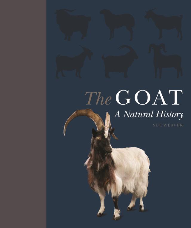 The Goat by Sue Weaver