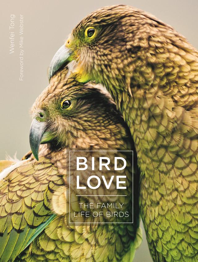 Bird Love by Mike Webster, Wenfei Tong