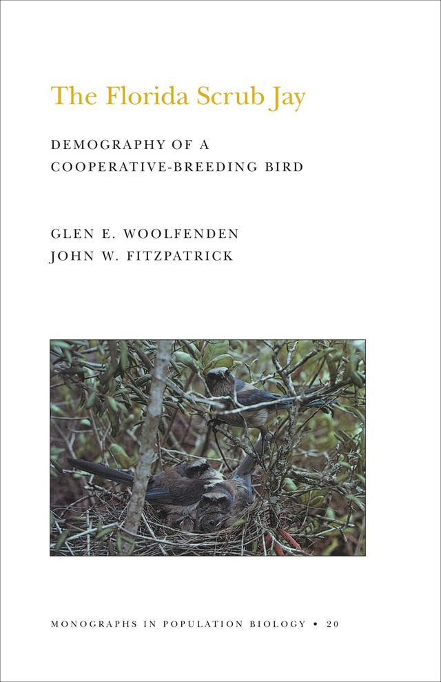The Florida Scrub Jay by Glen Everett Woolfenden, John W. Fitzpatrick