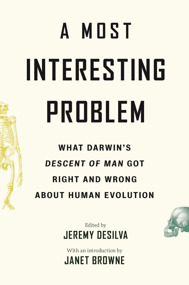 A Most Interesting Problem by Janet Browne, Jeremy DeSilva
