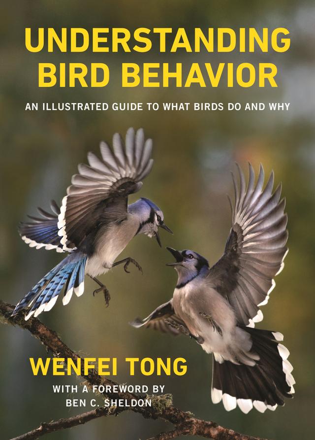 Understanding Bird Behavior by Ben C. Sheldon, Wenfei Tong