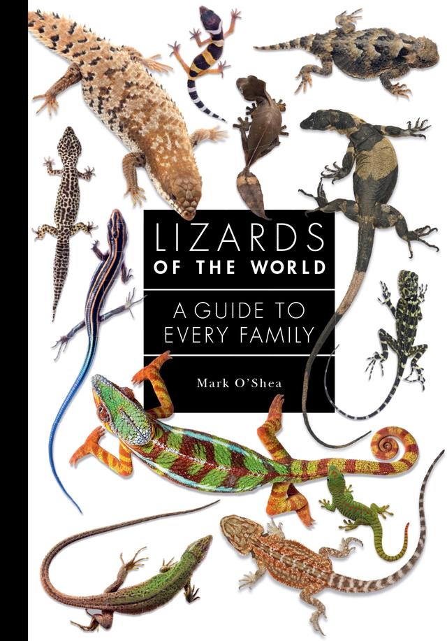 Lizards of the World by Mark O'Shea