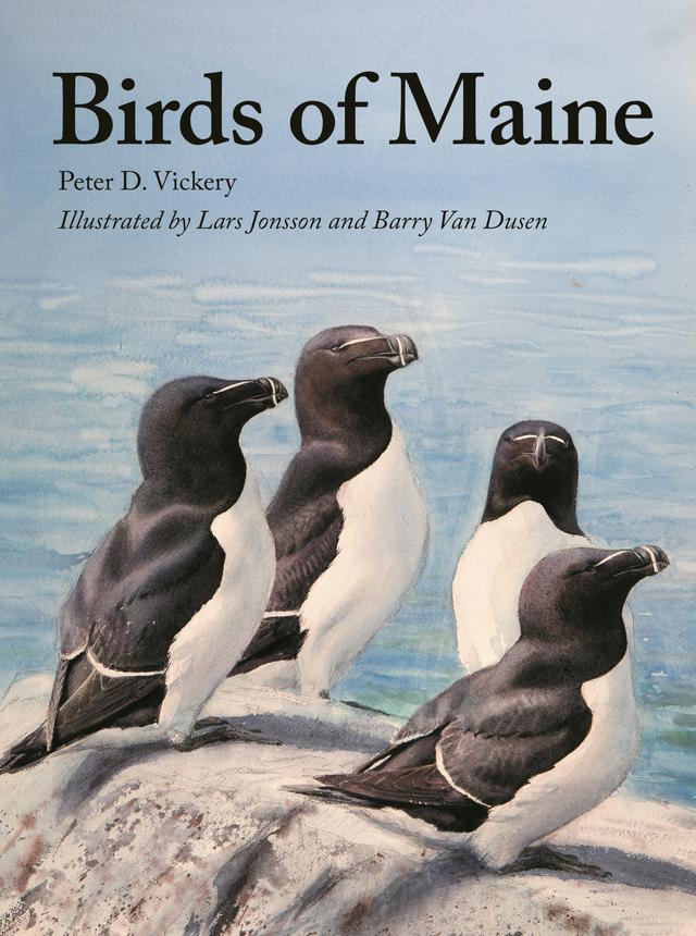Birds of Maine by Barbara Vickery, Barry Van Dusen, Charles D. Duncan, Jeffrey V. Wells, Lars Jonsson, Peter D. Vickery, Scott Weidensaul, William J. Sheehan