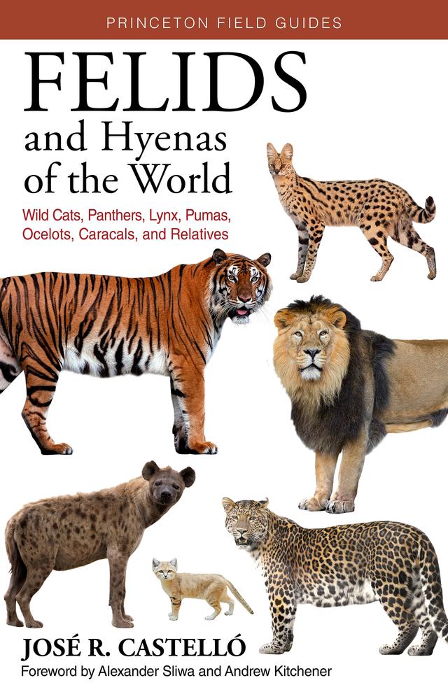Felids and Hyenas of the World by Alexander Sliwa, Andrew C. Kitchener, José R. Castelló