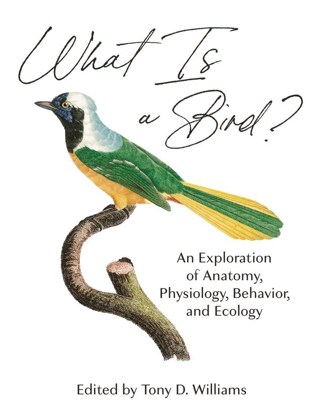 What Is a Bird? by Chad Eliason, Elizabeth MacDougall-Shackleton, Frances Bonier, Julia A. Clarke, Scott MacDougall-Shackleton, Scott McWilliams, Tony D. Williams