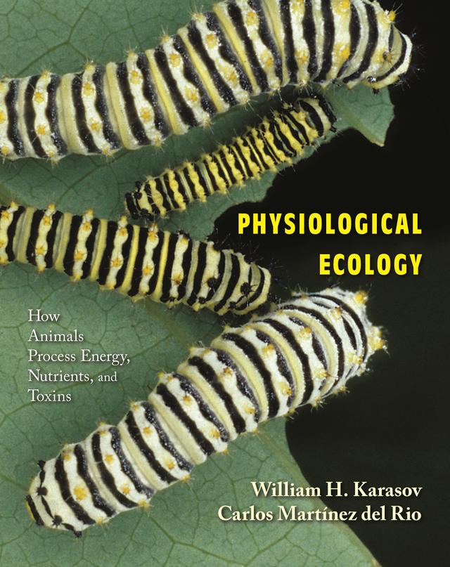 Physiological Ecology by Carlos Martínez del Rio, William H. Karasov