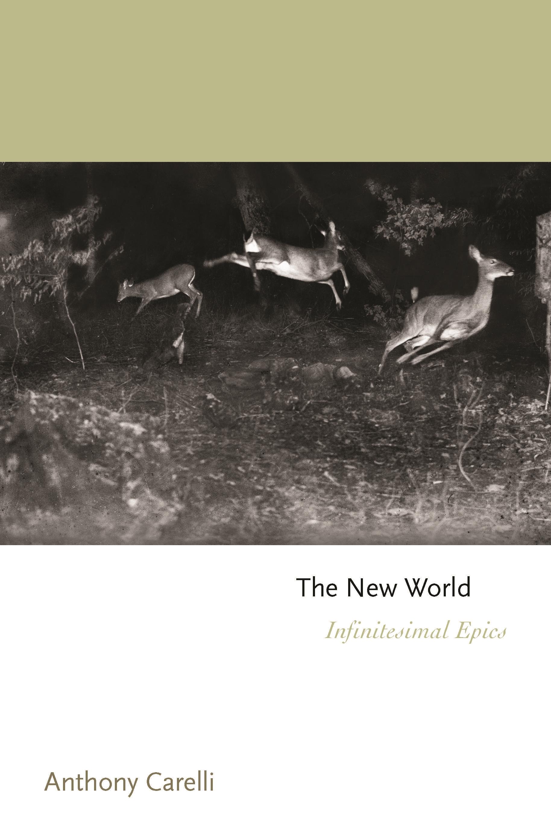 The New World