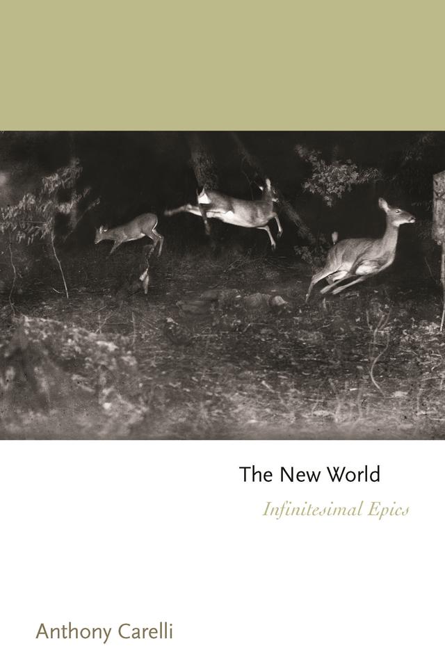 The New World by Anthony Carelli