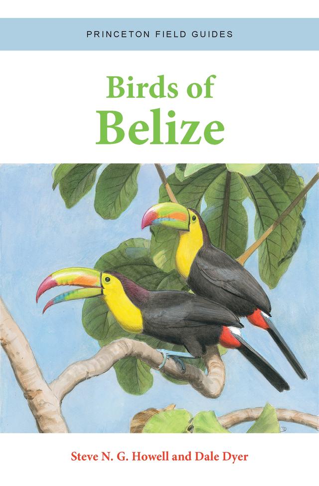 Birds of Belize by Dale Dyer, Steve N. G. Howell