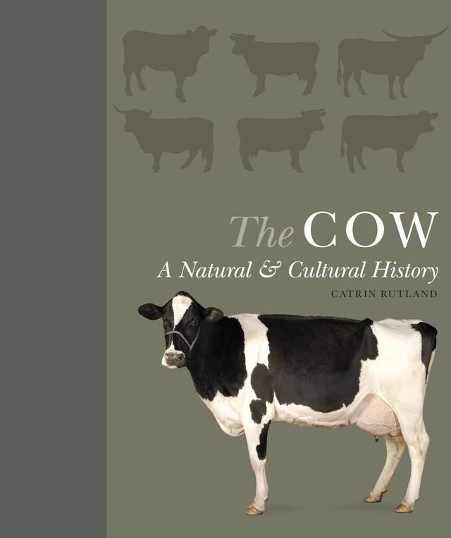 The Cow by Catrin Rutland