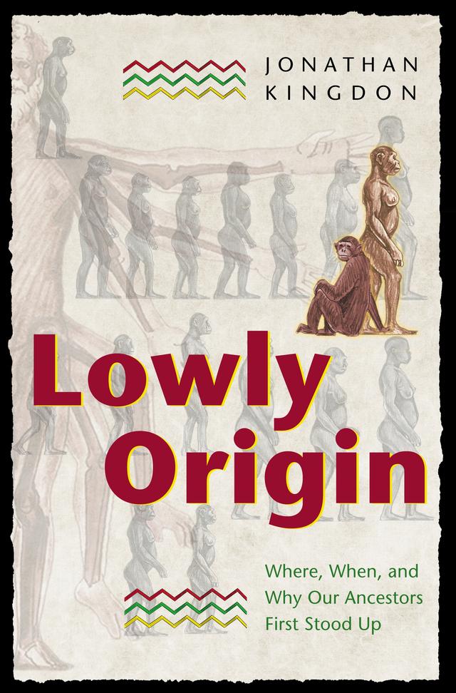 Lowly Origin by Jonathan Kingdon