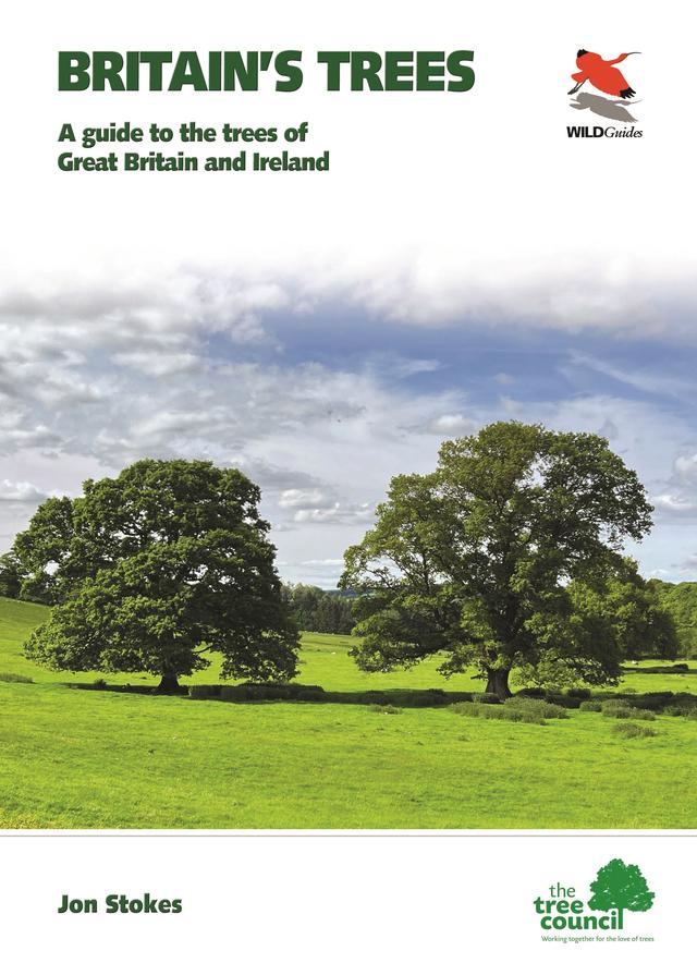 Trees of Britain and Ireland by Jon Stokes