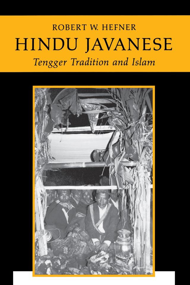 Hindu Javanese by Robert W. Hefner