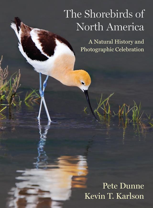 The Shorebirds of North America by Kevin T. Karlson, Pete Dunne