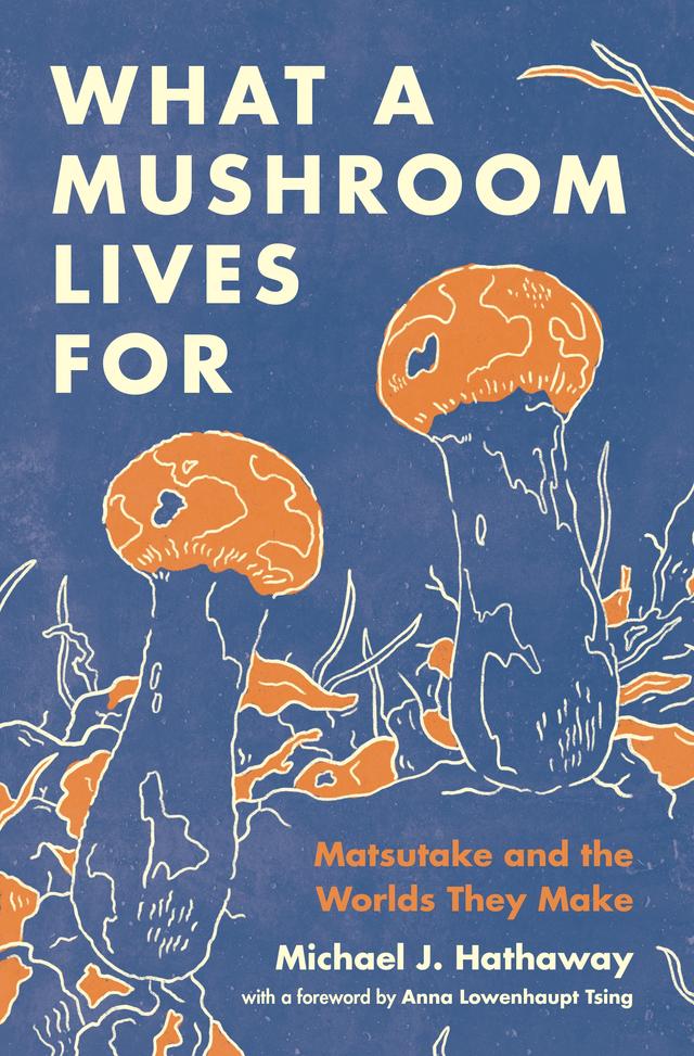 What a Mushroom Lives For by Michael J. Hathaway