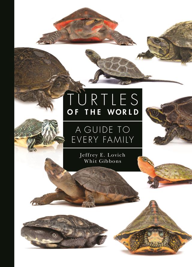 Turtles of the World by Jeffrey Lovich, Whit Gibbons