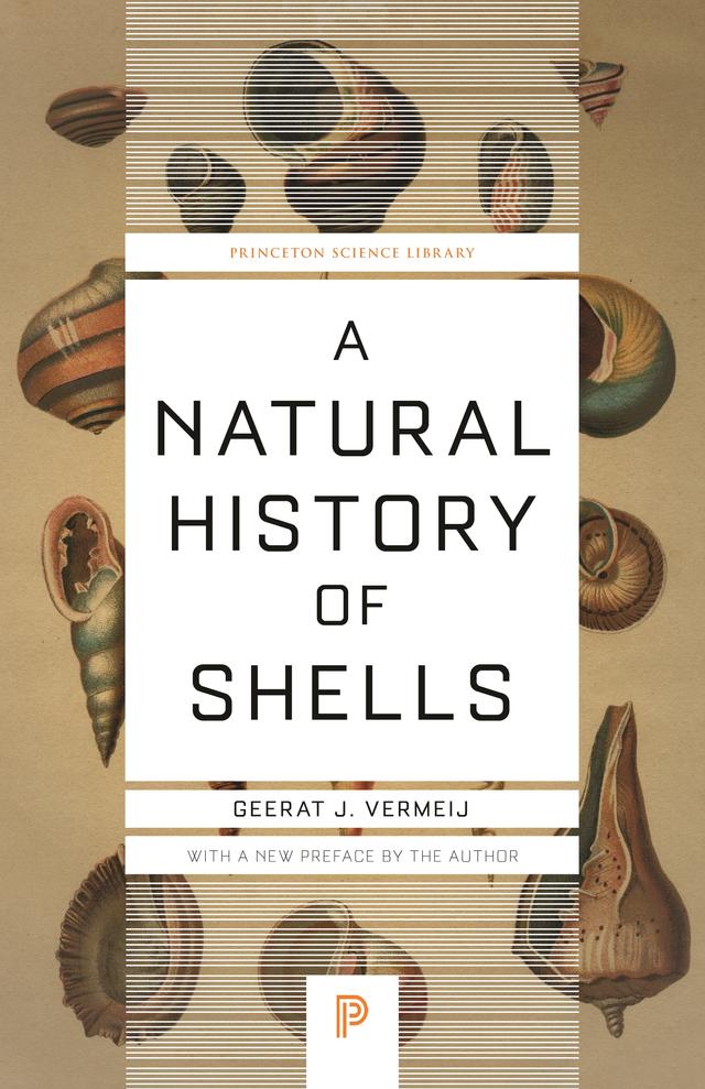 A Natural History of Shells by Geerat Vermeij
