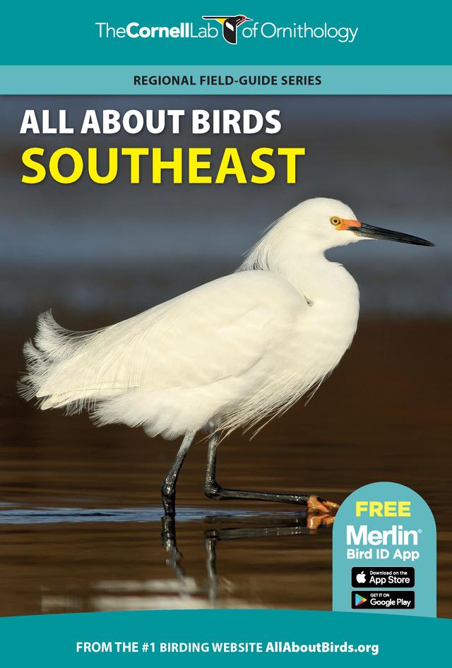 All About Birds Southeast by 