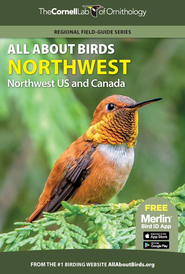 All About Birds Northwest by 