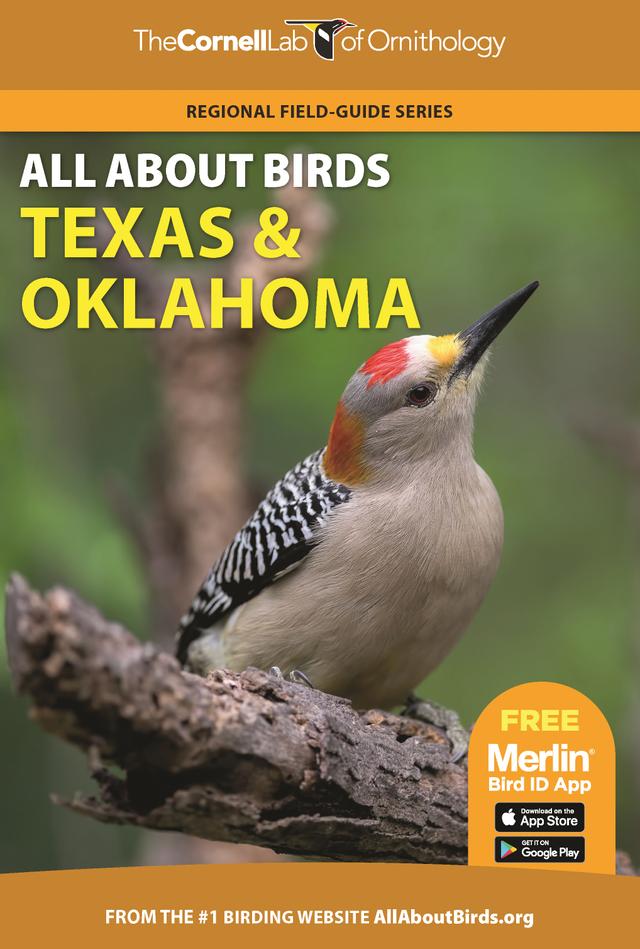 All About Birds Texas and Oklahoma by 