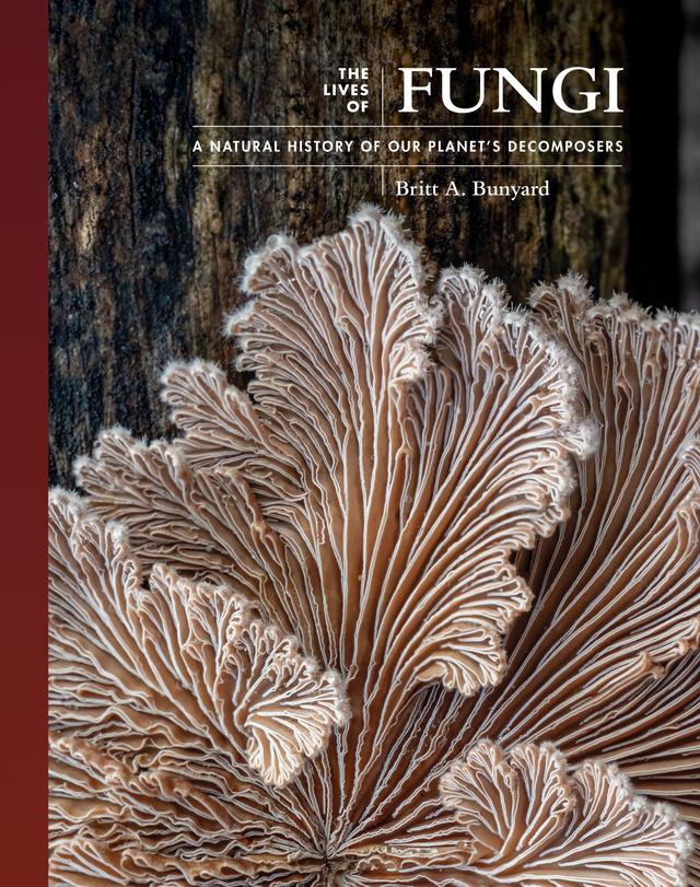 The Lives of Fungi by Britt A. Bunyard