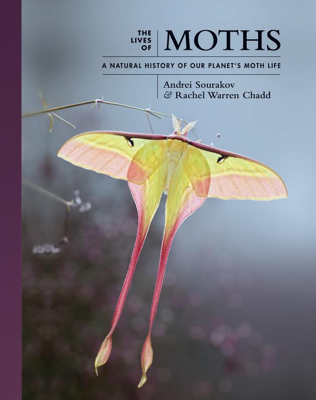 The Lives of Moths by Andrei Sourakov, Rachel Warren Chadd