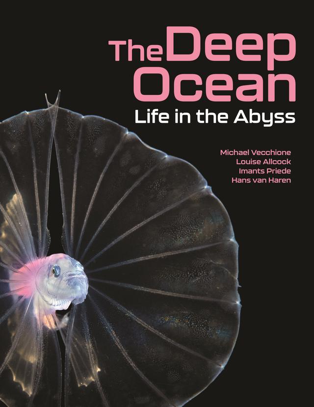 The Deep Ocean by Hans van Haren, Imants Priede, Louise Allcock, Michael Vecchione