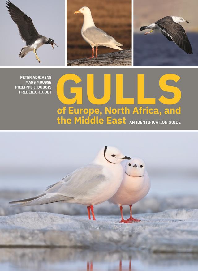 Gulls of Europe, North Africa, and the Middle East by Frédéric Jiguet, Mars Muusse, Peter Adriaens, Philippe J. Dubois