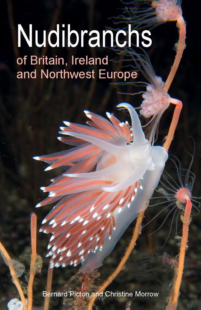 Nudibranchs of Britain, Ireland and Northwest Europe by Bernard Picton, Christine Morrow