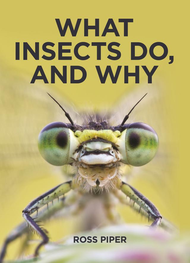 What Insects Do, and Why by Ross Piper
