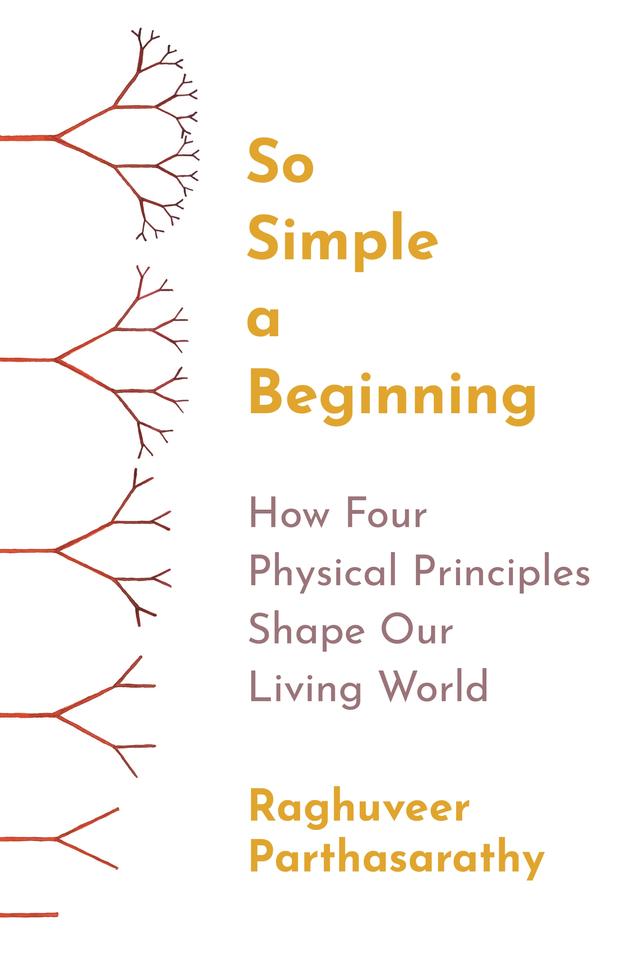 So Simple a Beginning by Raghuveer Parthasarathy