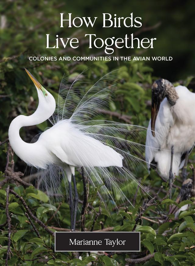 How Birds Live Together by Marianne Taylor