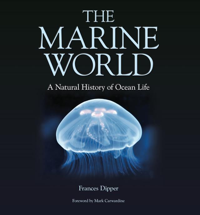 The Marine World by Frances Dipper