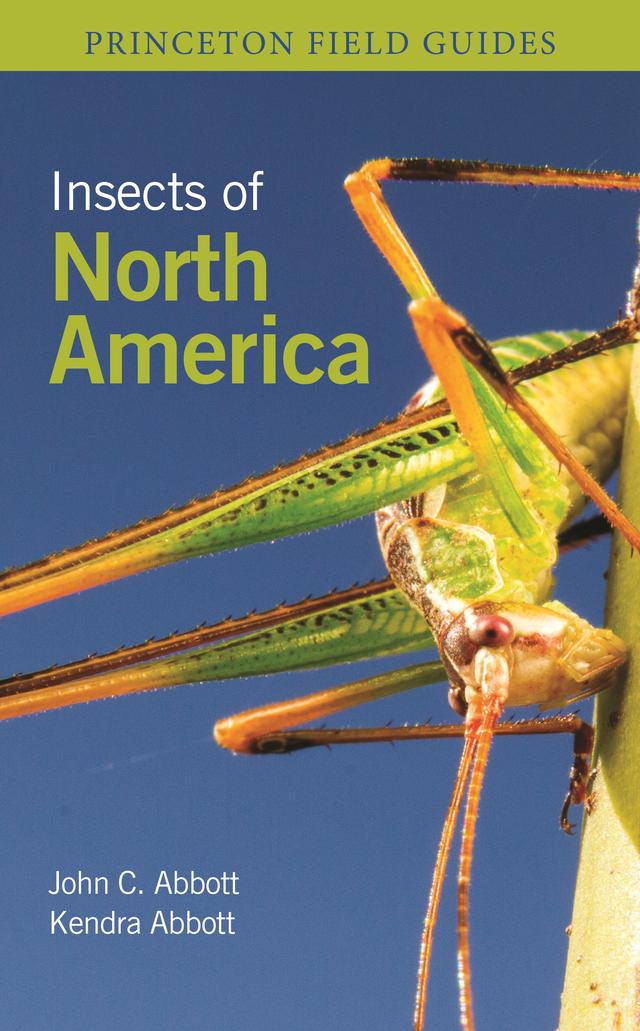 Insects of North America by John C. Abbott, Kendra Abbott