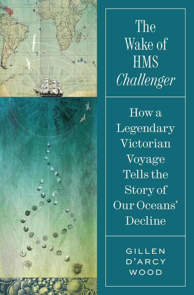 The Wake of HMS Challenger by Gillen D’Arcy Wood