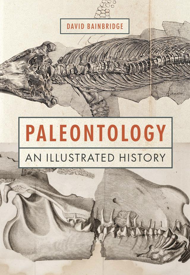 Paleontology by David Bainbridge