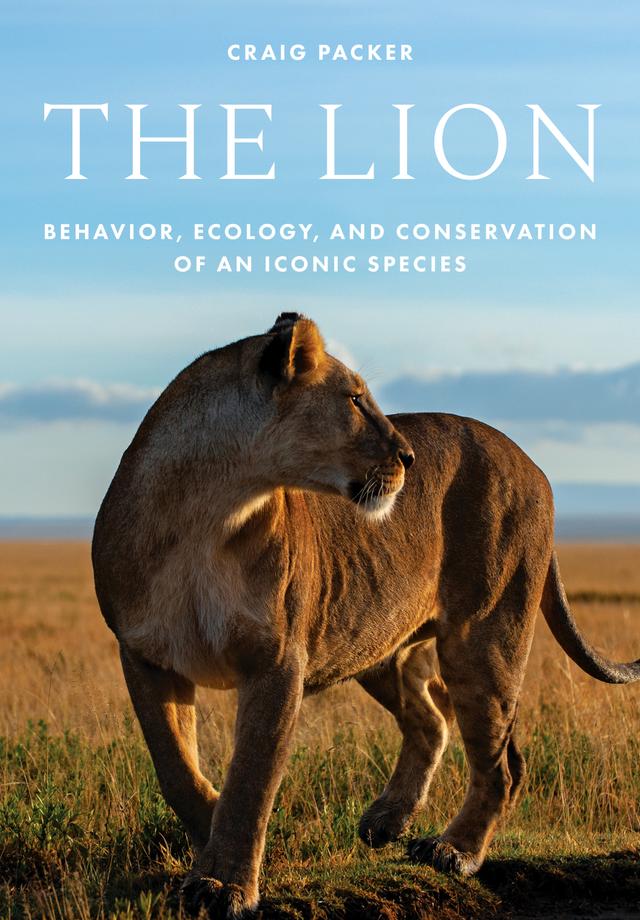 The Lion by Craig Packer