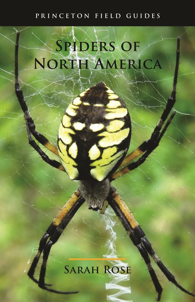 Spiders of North America by Eric R. Eaton, Sarah Rose